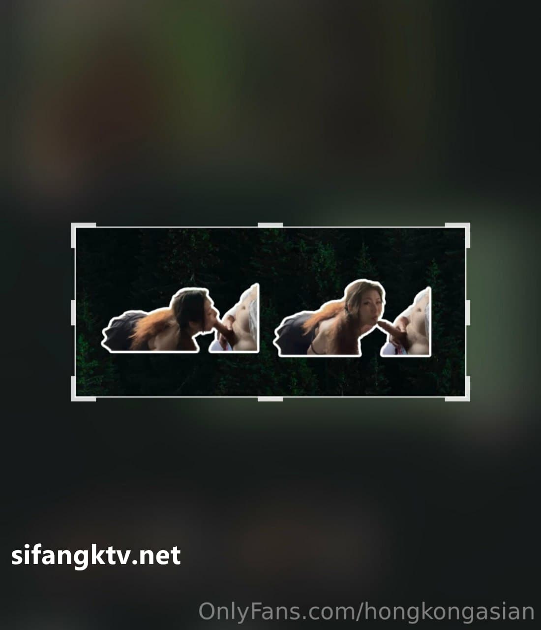 dollyorchid/hongkongasian - image 101